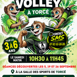Séances Découverte Baby Volley